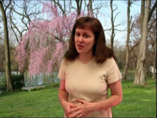 Ways Blogging and Vlogging Are Similar