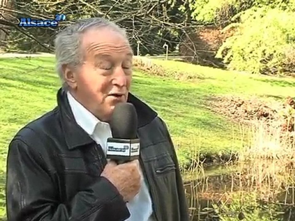 La vie aquatique vue par Léo (Strasbourg)