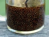 Chia Seeds 2 Pounds Chemical Free An Amazing Food