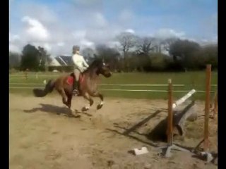 Flamenca 5 avril 2010 obstacle