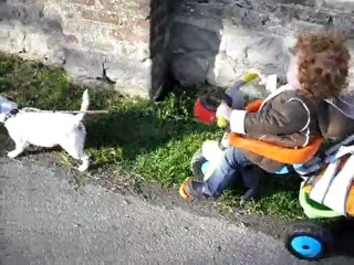 cid "le chien de traineau" de charlie