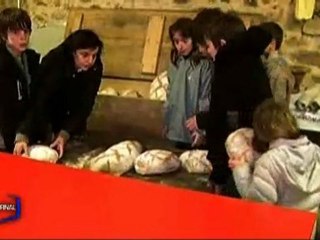 Le four à pain réunit les générations (Pouzauges)