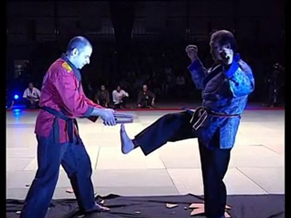 Festival des Arts Martiaux Traditionnels 2007