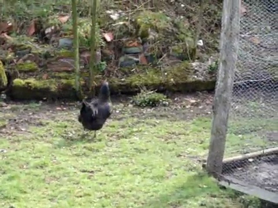 une scène de ménage !!! hihi!! ou là là ca barde !! hihi!!!