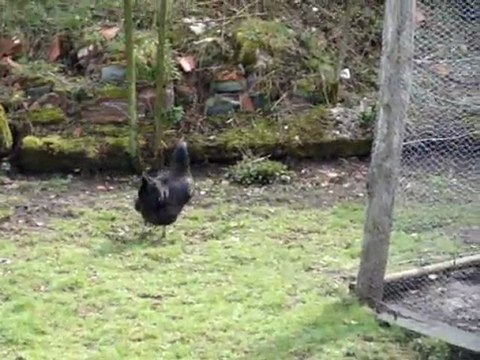 une scène de ménage !!! hihi!! ou là là ca barde !! hihi!!!