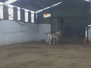 5 eme jour de spirit