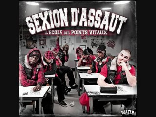 05 sexion dassaut ils appellent ca