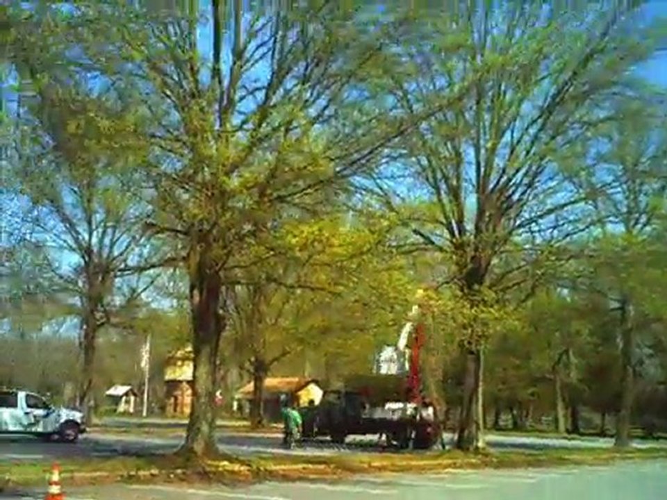 the cherry picker