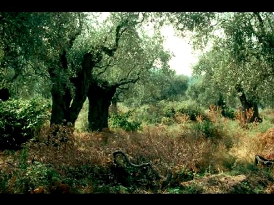 PT.3 EPHRAIM IS JOINED TO IDOLS LET HIM ALONE