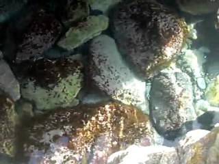 une goutte d'eau dans la mer