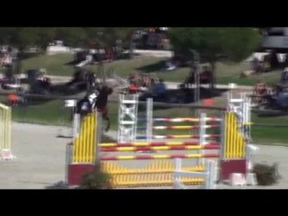 quilébo d'Angrie étalon PFS