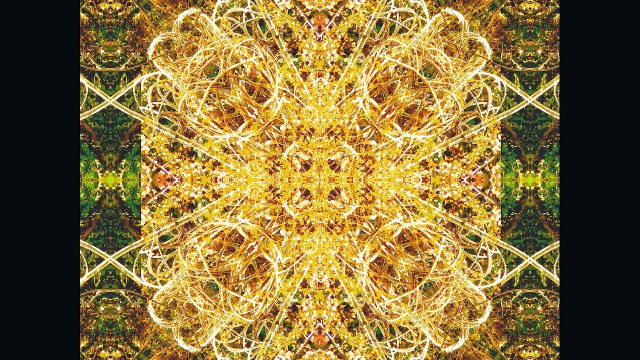 Sculptures-Vivantes le 30 mars 2010