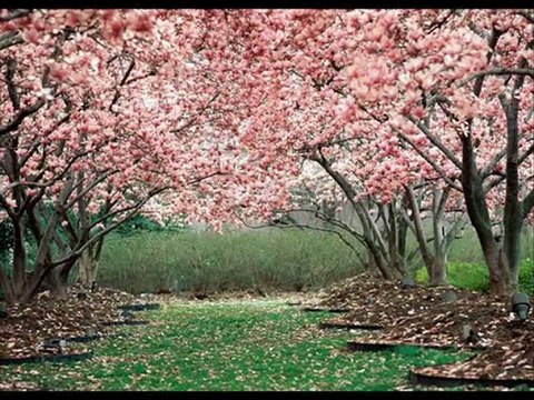 İDOB 2009-2010 sezonu Bahar Konseri tanıtım videosu