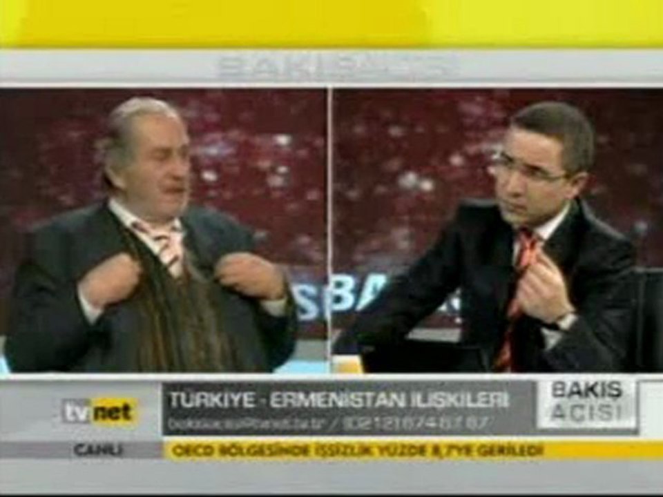Ermeni Meselesi - 3