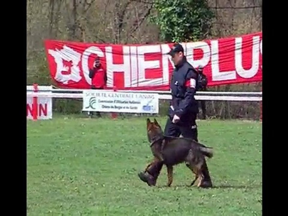 vink des orckis de l'adret : vezac 2010 obeissance