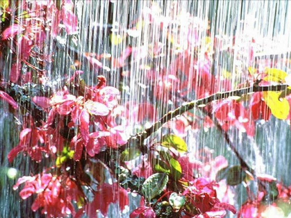 suya hasret ali ümran