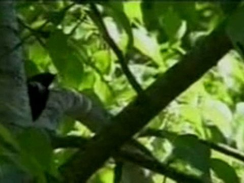 Aziz Hoca - Hz. Hatice (R.a) Tesettür | Başörtüsü | Türban