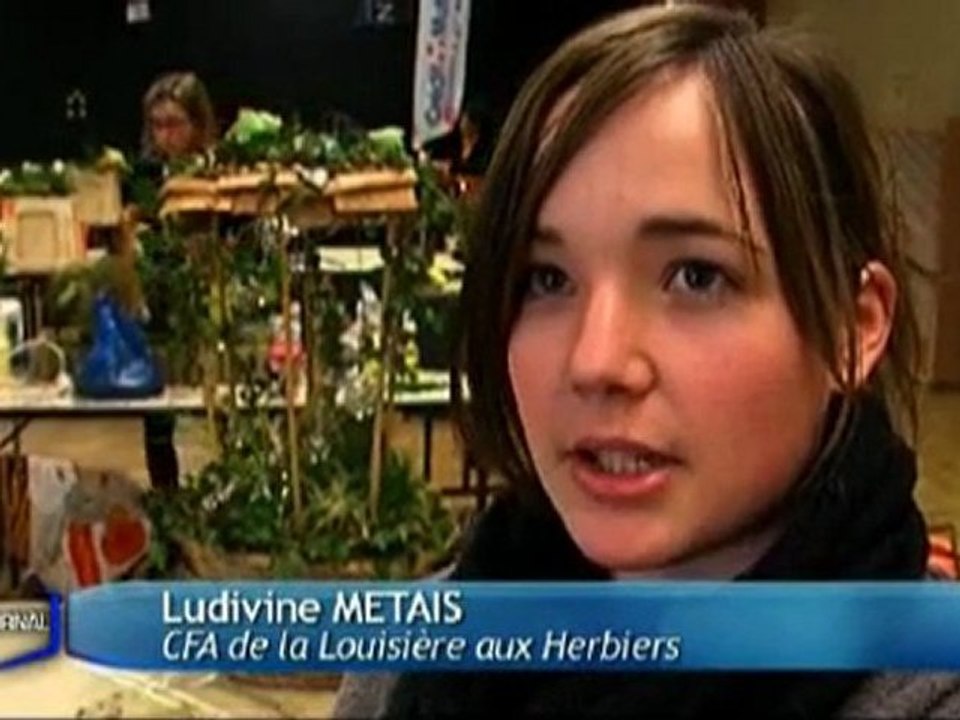 Concours des apprentis de Vendée (La Roche-Sur-Yon)