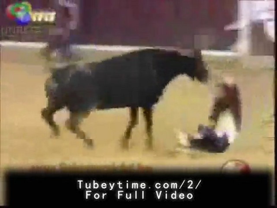 Bull Gives Wedgie