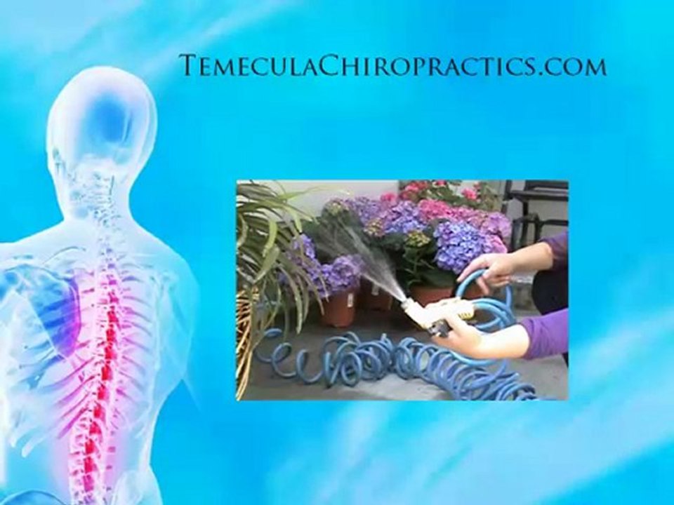 What does a Chiropractor do?