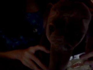 my new signature endangered asian elephant!!!!!!:)