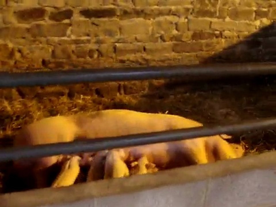 MOV02217