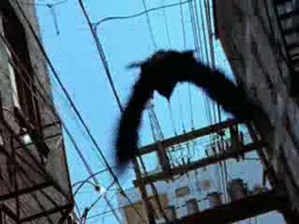 THE CROW STAIRWAY TO HEAVEN INTRO