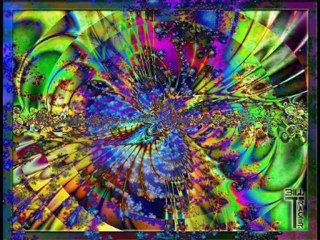 Niniis-aphrodite video