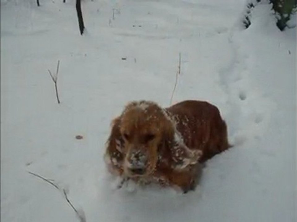 Ludwigslust - 2010 - the eternal Winter