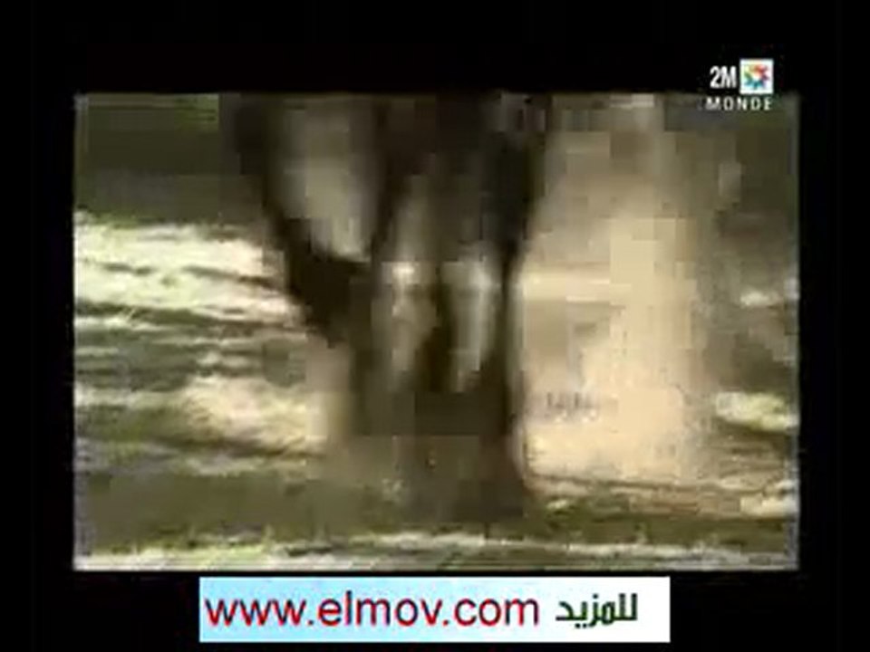 Film marocain Sayed Al Ghaba الفيلم المغربي سيد الغابة 10