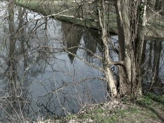 Témoignages sur une maison qui a décollé