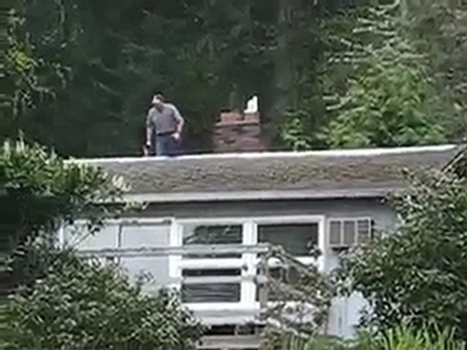 Zinc Sulfate Moss Control - Roof Life of Oregon