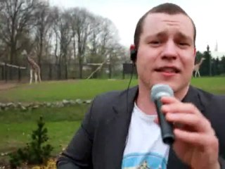 Wybrzeże Kości Słoniowej vs Argentyna - final RPA 2010