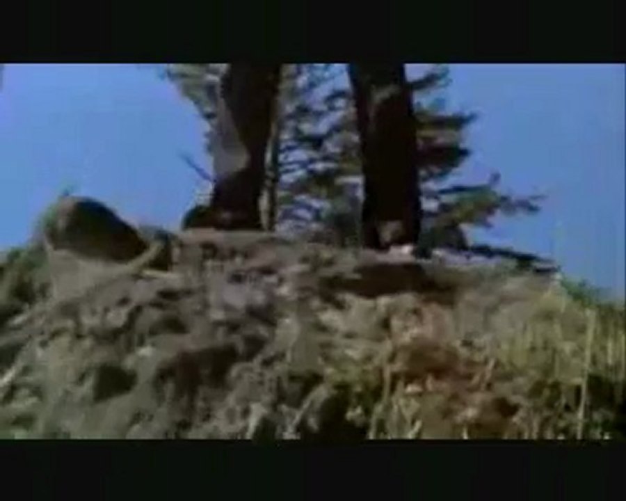 Apocalypsis 28 - Le Serment des 144 000 Fils de Lumière