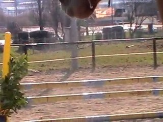 MOV008