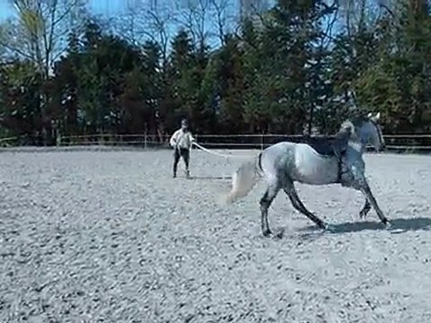 DANUBIO - PRE - 09 Avril 2010 - Reprise du travail - 1