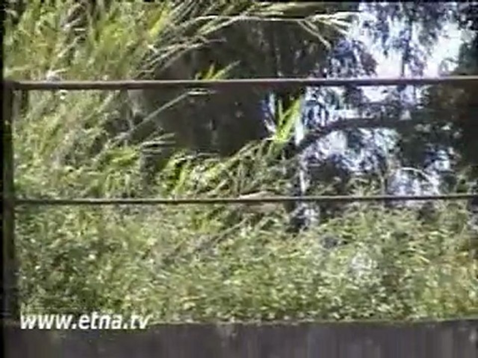 ETNA ALCANTARA - LA FERROVIA FANTASMA