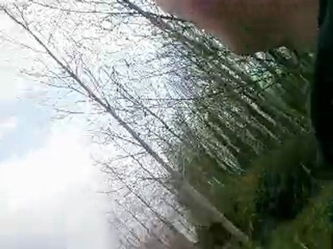 Balade Attelage + Chevaux montés...