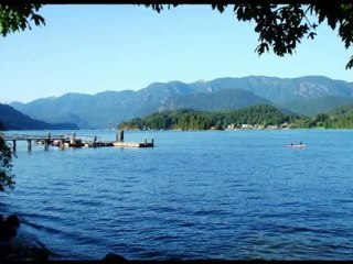 The Forest Path to the spring / A forráshoz vezető ösvény