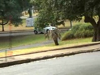 RENAULT CLIO 1.2. SEGUN PASAN LOS AÑOS.