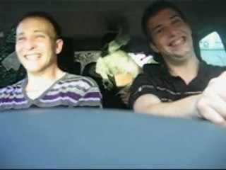 Saturday Night of the trois gugusses