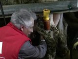 Dominique de Villepin, visite de la ferme à Noidans