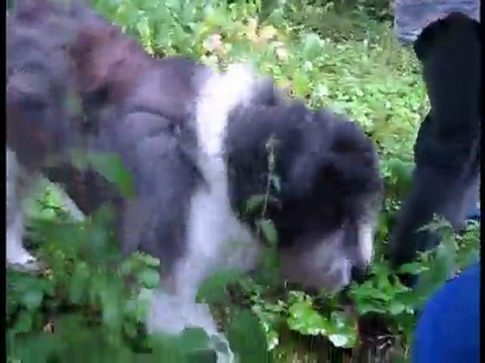 Lenna Kuurmaa 'Anne & Stiil Photoshooting' @2009