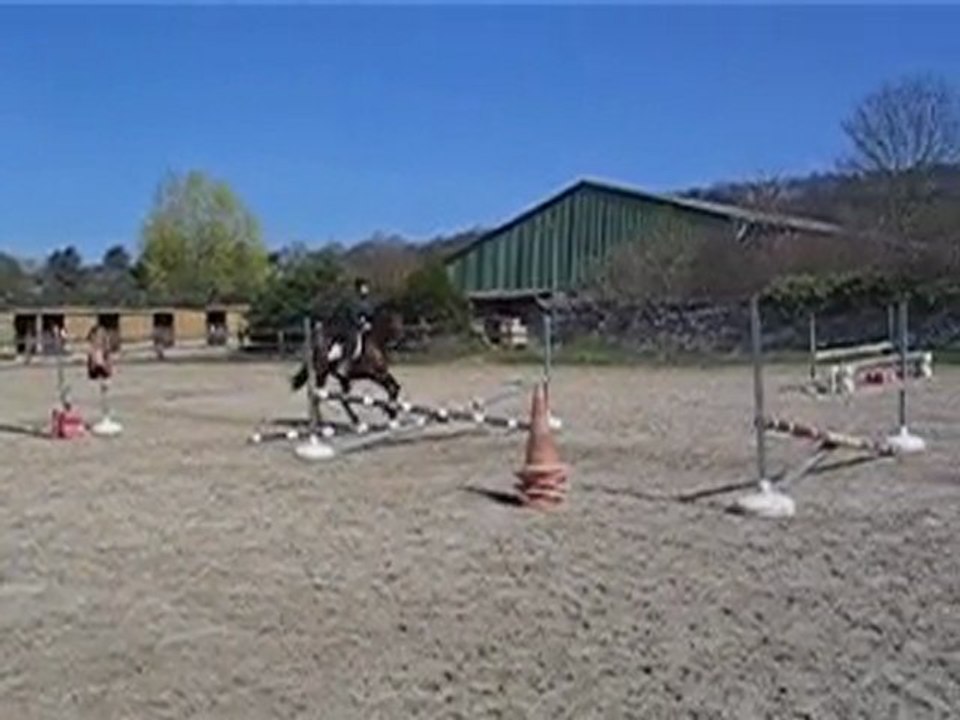MVI_3815