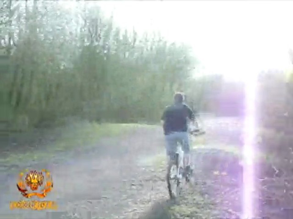 TEAM FOX RIDER