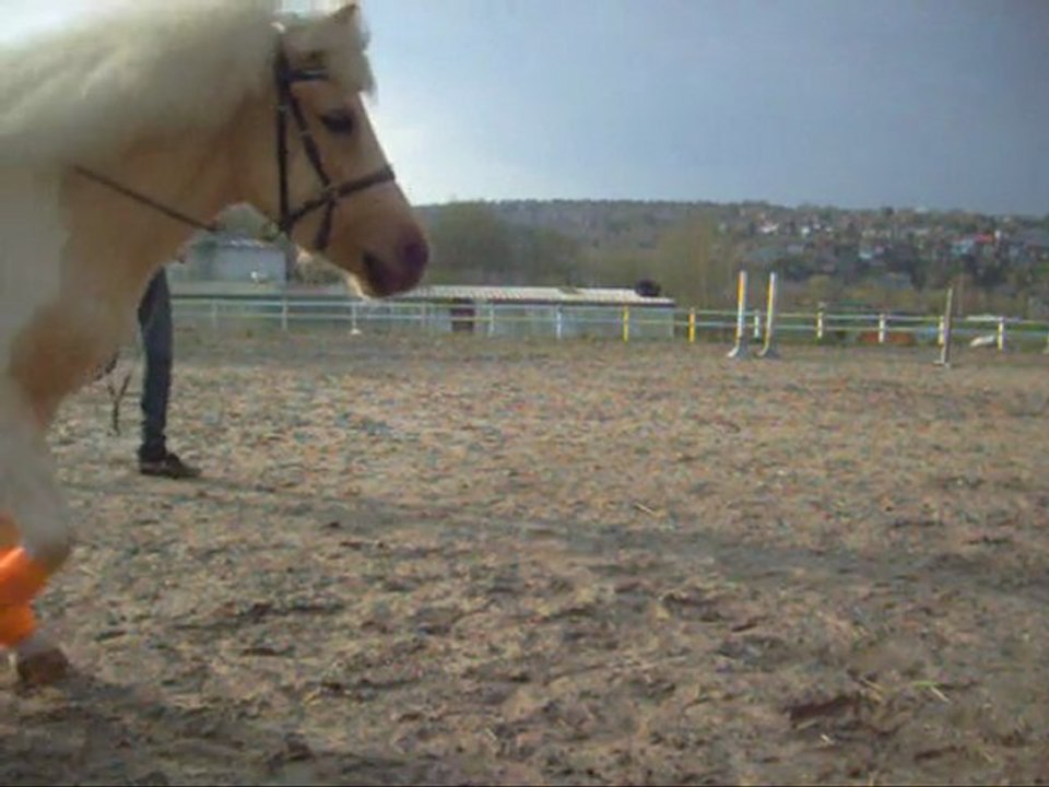 longues renes 9avril 2010