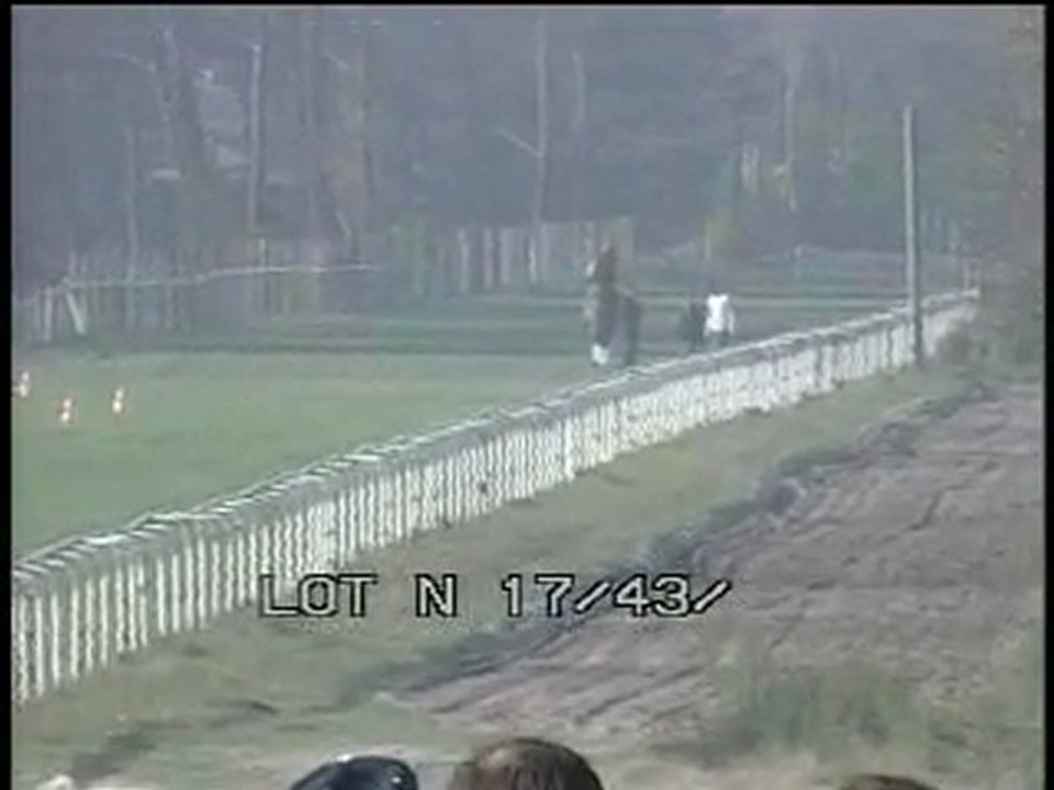 Lot 1 (17-43)