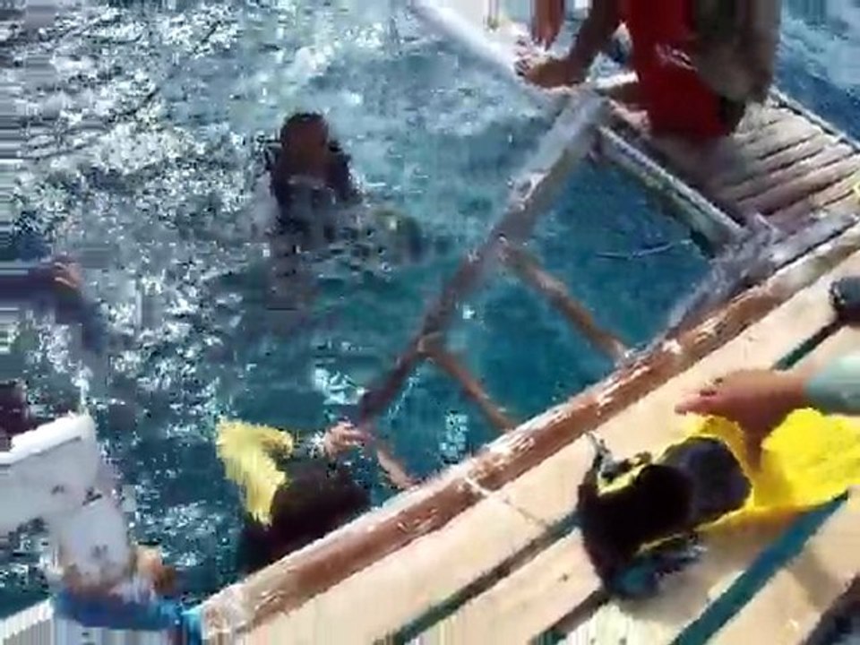 Philippines - Dumaguete - ApoIsland - Dive