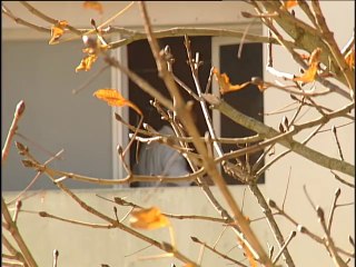 2007 I.D, Images Détournées * Trigone Production