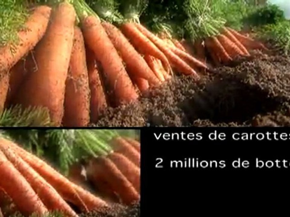Guenot